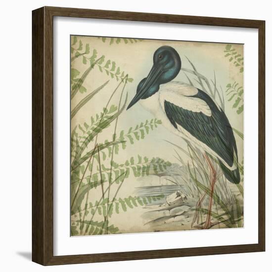 Heron and Ferns I-Vision Studio-Framed Art Print