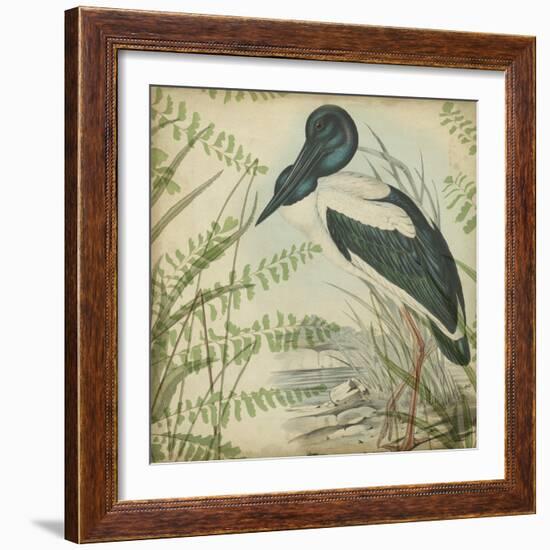 Heron and Ferns I-Vision Studio-Framed Art Print