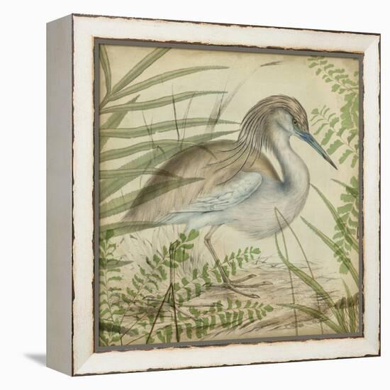 Heron and Ferns II-Vision Studio-Framed Stretched Canvas