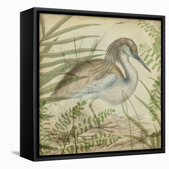 Heron and Ferns II-Vision Studio-Framed Stretched Canvas