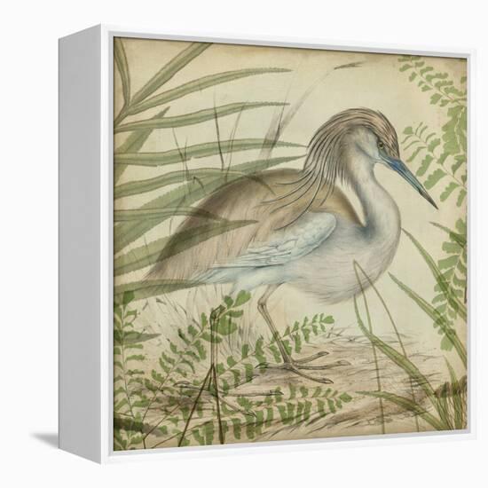Heron and Ferns II-Vision Studio-Framed Stretched Canvas