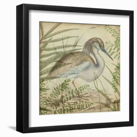 Heron and Ferns II-Vision Studio-Framed Art Print