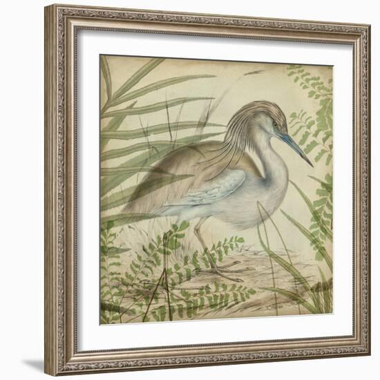 Heron and Ferns II-Vision Studio-Framed Art Print