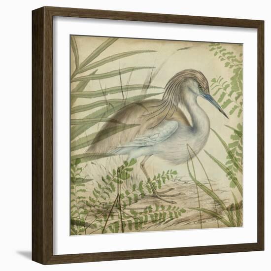 Heron and Ferns II-Vision Studio-Framed Art Print