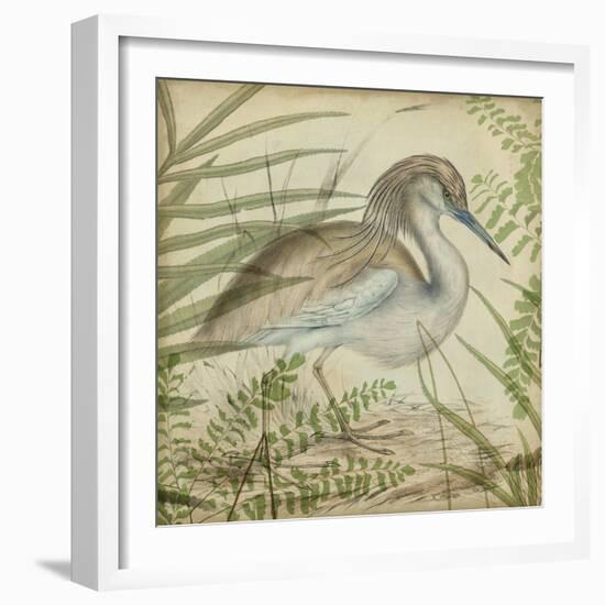 Heron and Ferns II-Vision Studio-Framed Art Print