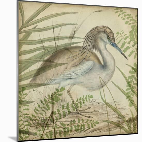 Heron and Ferns II-Vision Studio-Mounted Art Print