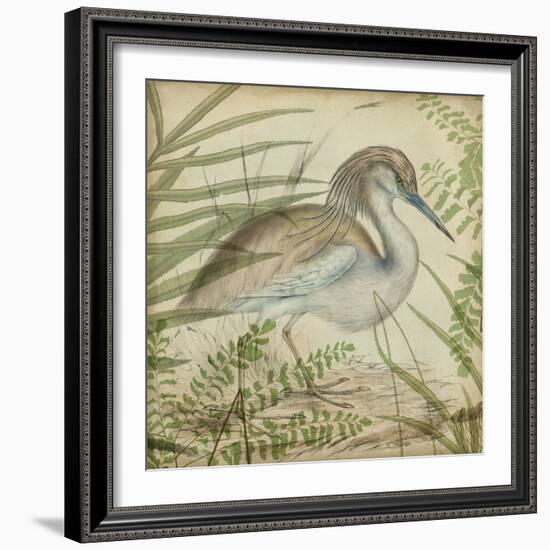 Heron and Ferns II-Vision Studio-Framed Art Print