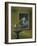 Heron and Goldfish-Harro Maass-Framed Giclee Print