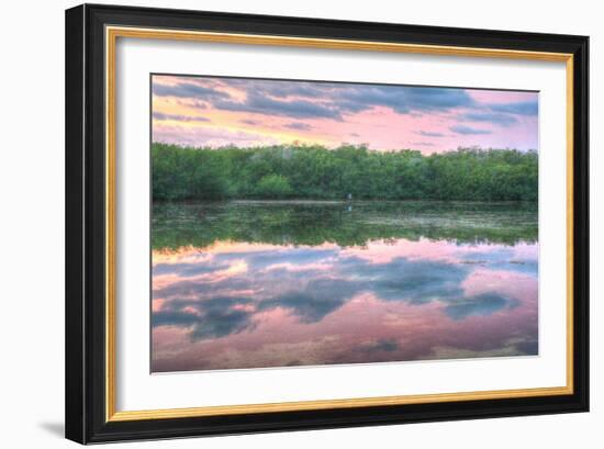 Heron and Mangroves-Robert Goldwitz-Framed Premium Photographic Print