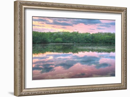 Heron and Mangroves-Robert Goldwitz-Framed Photographic Print