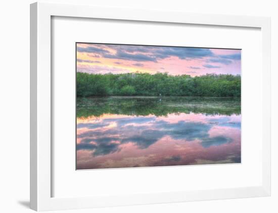 Heron and Mangroves-Robert Goldwitz-Framed Photographic Print