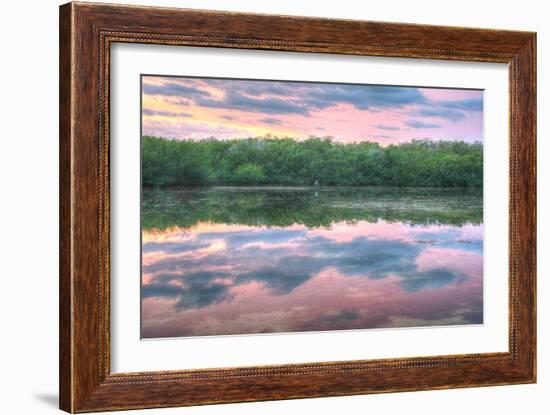 Heron and Mangroves-Robert Goldwitz-Framed Photographic Print