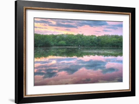 Heron and Mangroves-Robert Goldwitz-Framed Photographic Print