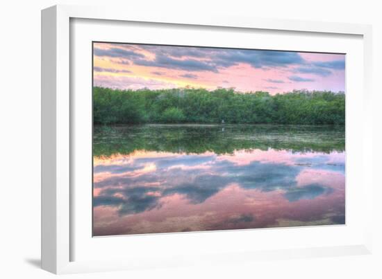 Heron and Mangroves-Robert Goldwitz-Framed Photographic Print