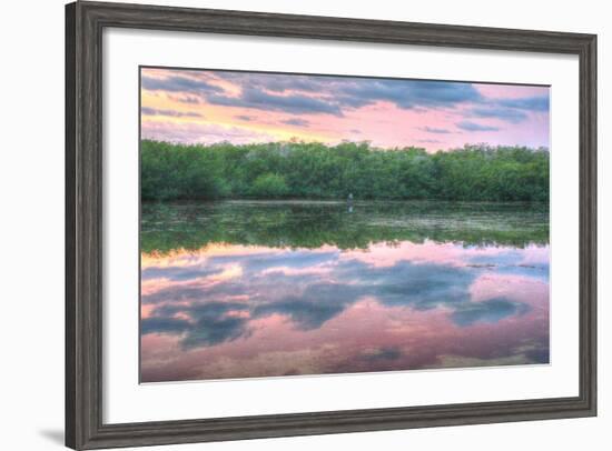 Heron and Mangroves-Robert Goldwitz-Framed Photographic Print