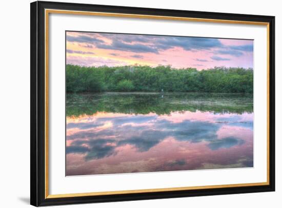 Heron and Mangroves-Robert Goldwitz-Framed Photographic Print