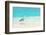 Heron at the Beach on Maldivian Island-haveseen-Framed Photographic Print