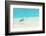 Heron at the Beach on Maldivian Island-haveseen-Framed Photographic Print