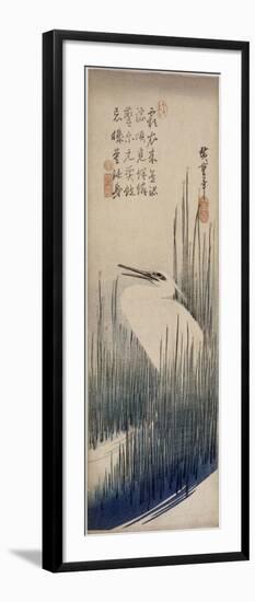 Héron blanc dans les roseaux-Ando Hiroshige-Framed Giclee Print