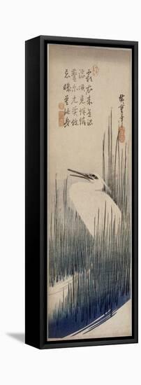 Héron blanc dans les roseaux-Ando Hiroshige-Framed Premier Image Canvas