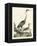 Heron Family I-A. Wilson-Framed Stretched Canvas