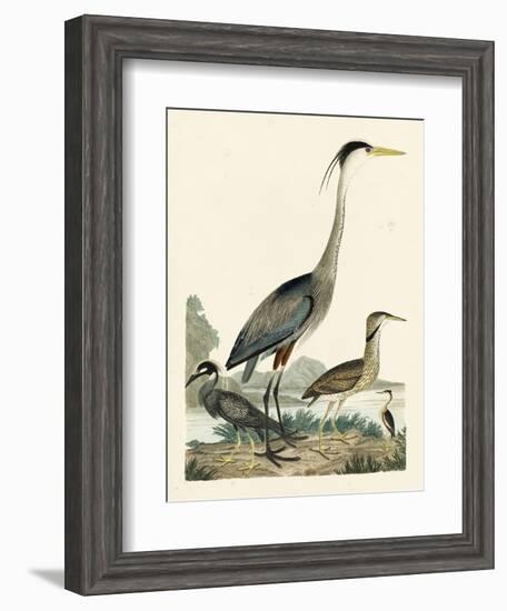 Heron Family I-A. Wilson-Framed Art Print