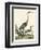 Heron Family I-A. Wilson-Framed Art Print