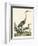 Heron Family I-A. Wilson-Framed Art Print