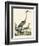 Heron Family I-A. Wilson-Framed Art Print