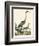 Heron Family I-A. Wilson-Framed Premium Giclee Print