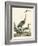 Heron Family I-A. Wilson-Framed Art Print