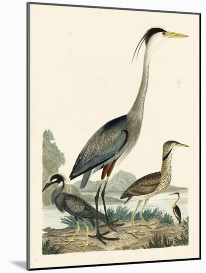 Heron Family I-A. Wilson-Mounted Art Print