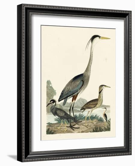 Heron Family I-A. Wilson-Framed Art Print