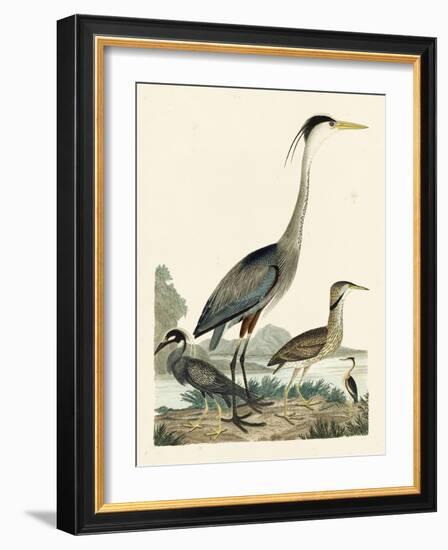 Heron Family I-A. Wilson-Framed Art Print