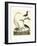 Heron Family II-A^ Wilson-Framed Art Print