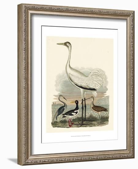 Heron Family III-A^ Wilson-Framed Art Print