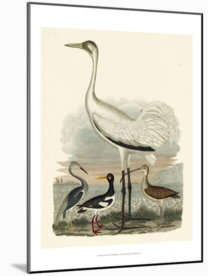 Heron Family III-A^ Wilson-Mounted Art Print