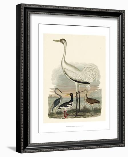 Heron Family III-A^ Wilson-Framed Art Print