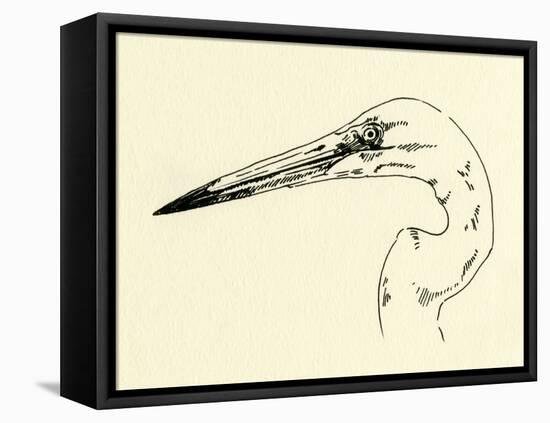 Heron Head II-Emma Caroline-Framed Stretched Canvas