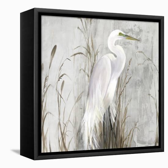 Heron in the Reeds-Aimee Wilson-Framed Stretched Canvas