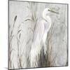 Heron in the Reeds-Aimee Wilson-Mounted Art Print