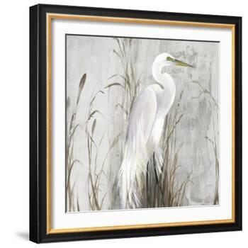 Heron in the Reeds-Aimee Wilson-Framed Art Print
