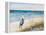 Heron Ocean View-Julie DeRice-Framed Stretched Canvas