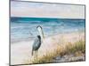 Heron Ocean View-Julie DeRice-Mounted Art Print