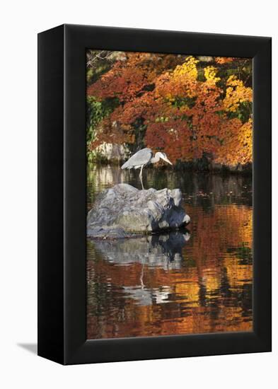 Heron on Lake in Autumn, Eikan-Do Temple, Northern Higashiyama, Kyoto, Japan-Stuart Black-Framed Premier Image Canvas