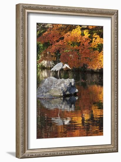 Heron on Lake in Autumn, Eikan-Do Temple, Northern Higashiyama, Kyoto, Japan-Stuart Black-Framed Photographic Print