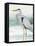 Heron on Seaglass I-Lanie Loreth-Framed Stretched Canvas