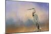 Heron on the Rocks-Jai Johnson-Mounted Giclee Print