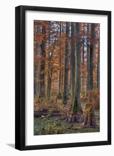 Heron Pond Dawn-Steve Gadomski-Framed Photographic Print