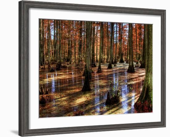 Heron Pond-Stephen Arens-Framed Photographic Print